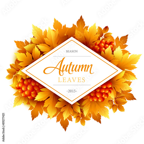 Autumn typographic. Fall leaf. Vector illustration