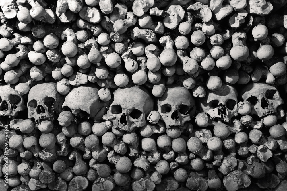Skulls and bones Skulls and bones