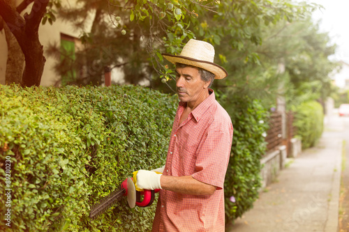 Gardener cutting a hedge with a hedge cutter photo