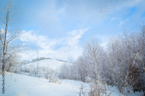 Winter landscape background © bdavid32
