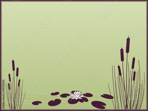 View of the lake with water lilies and cattails