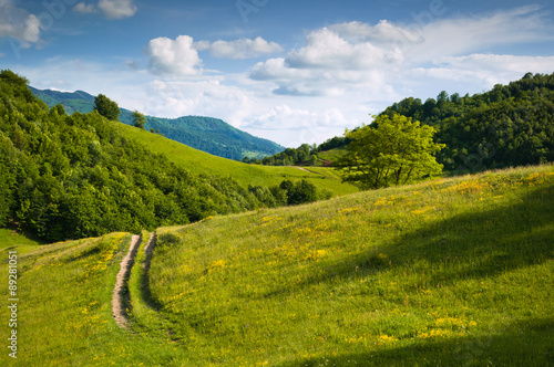 A landscape of green hills in spring time. A country road is cutting through the immaculate grass, illustrating the idea of travel , tourism or exploring. #89281051