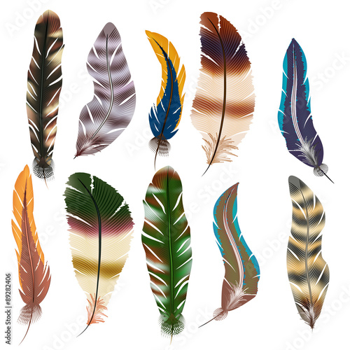 Vector set of feathers
