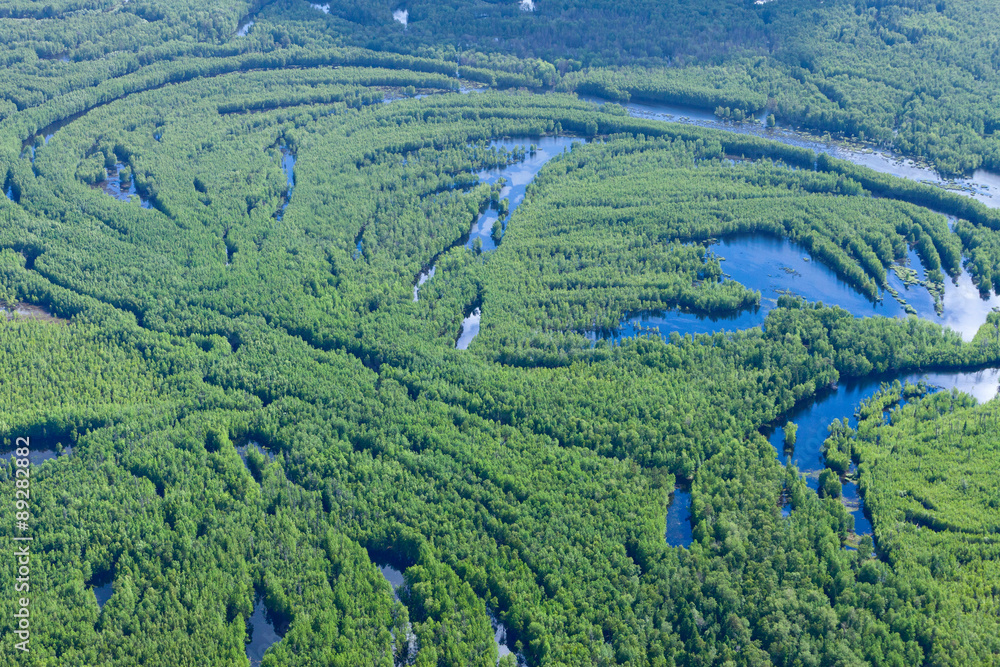 Forest river in spring, top view