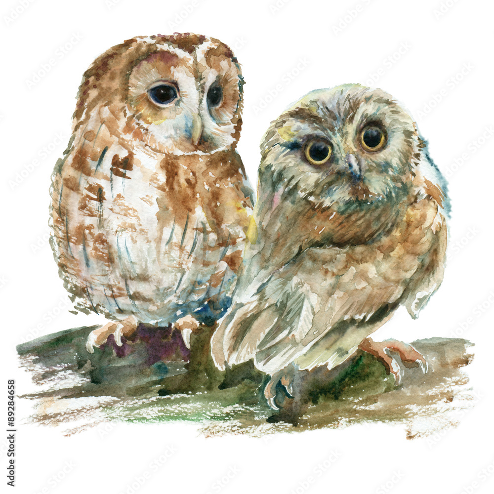 Naklejka premium Watercolor owls