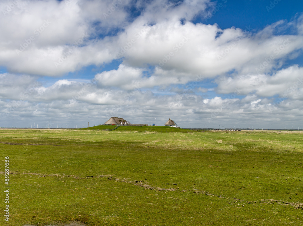 Fototapeta premium Hamburger Hallig