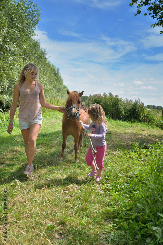 Obraz premium chercher le poney dans la pâture