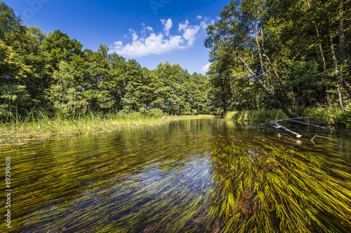 Kayaking on the Black Hancza river, Poland