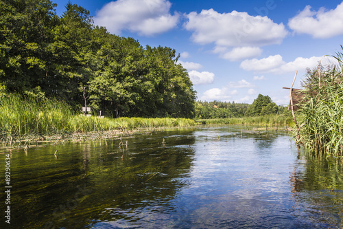 Fototapeta Naklejka Na Ścianę i Meble -  Kayaking on the Black Hancza river, Poland