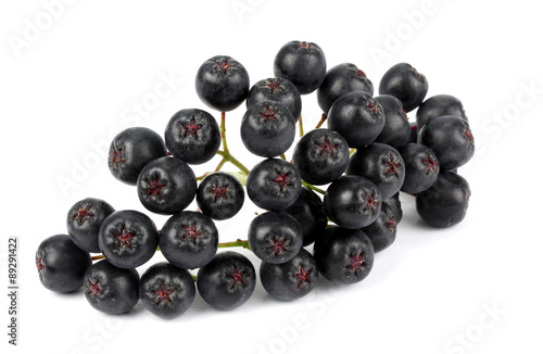 aronia (chokeberry)