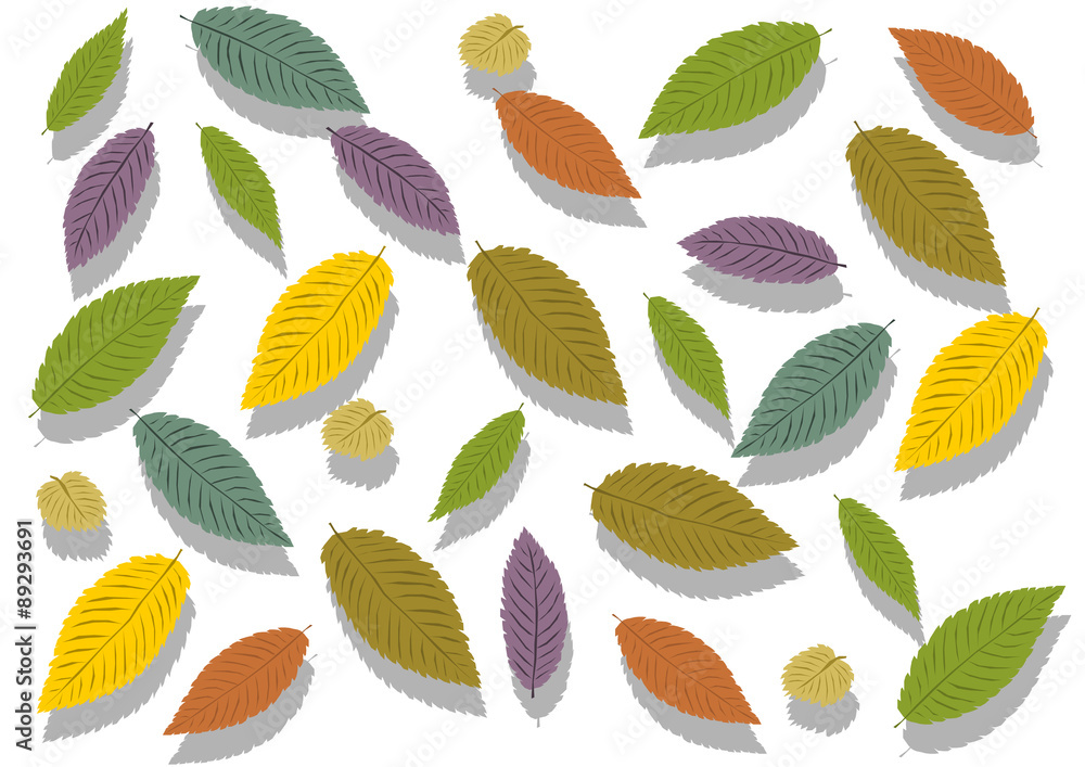 Obraz premium カラフルな落ち葉のイラスト