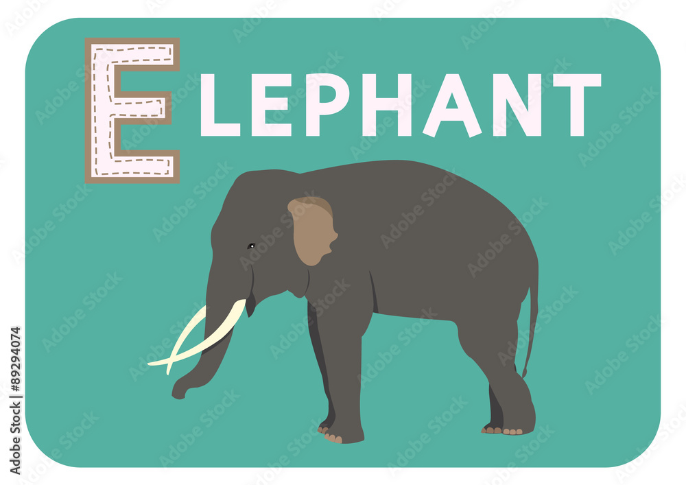 Obraz premium E for elephant alphabet cartoon animal for children