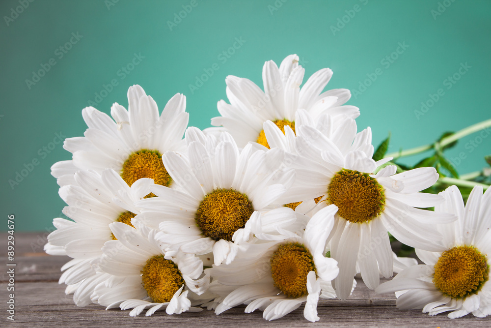Obraz premium Leucanthemum vulgare on a wooden table