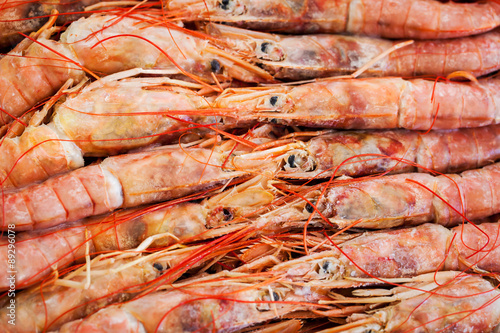 Fresh raw langoustines