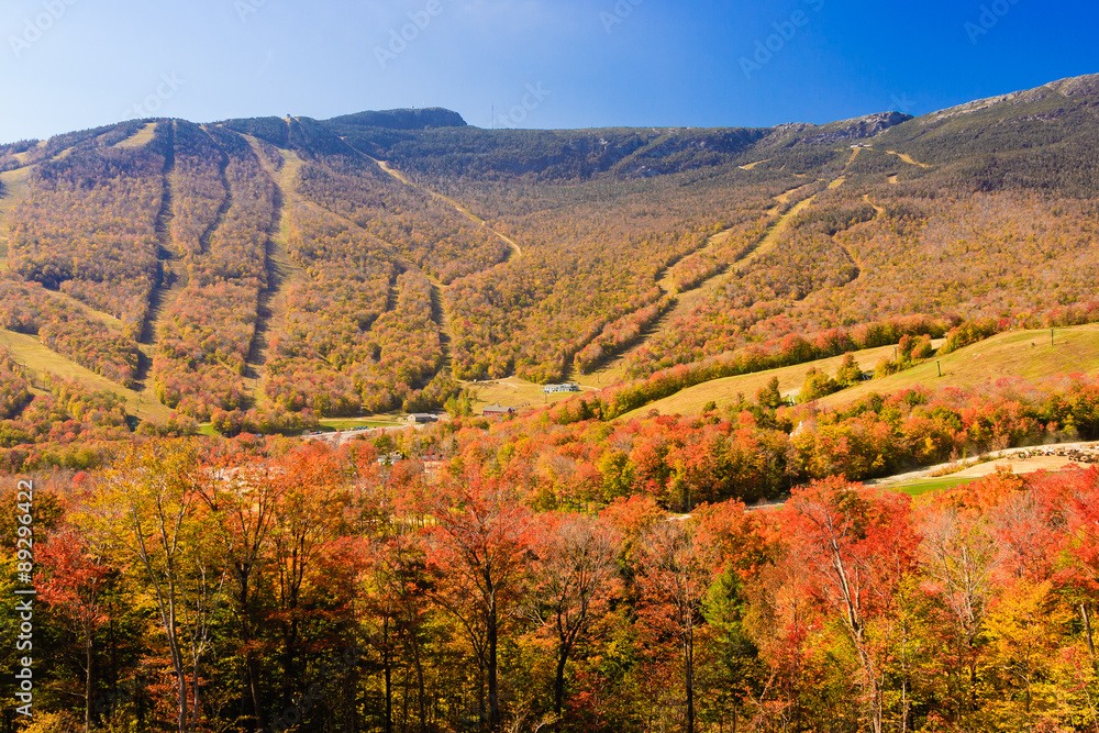 Ski trails during fall foliage.