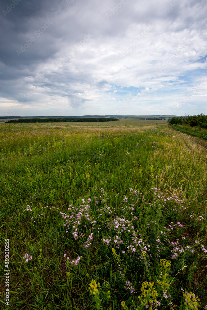 The road stretches into the distance on the background of summer meadows of trees and blue sky with clouds The road stretches into the distance on the background of summer meadows of trees and blue sky with clouds