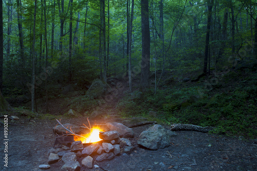 abandoned campfire burning in night forest