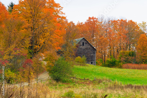 Rural Vermont barn during peak foliage season.