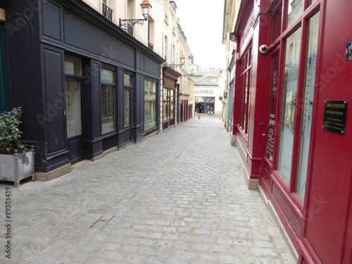 Photography Versailles - Le Passage des Antiquaires