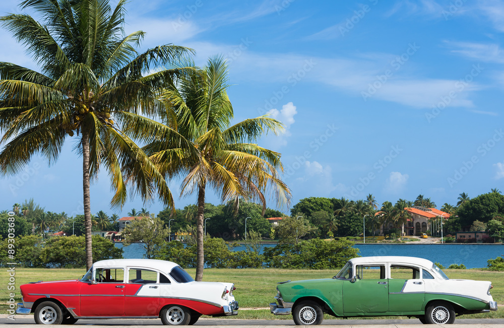Kuba grüner und roter parkender amerikanischer Oldtimer in Varadero unter Palmen