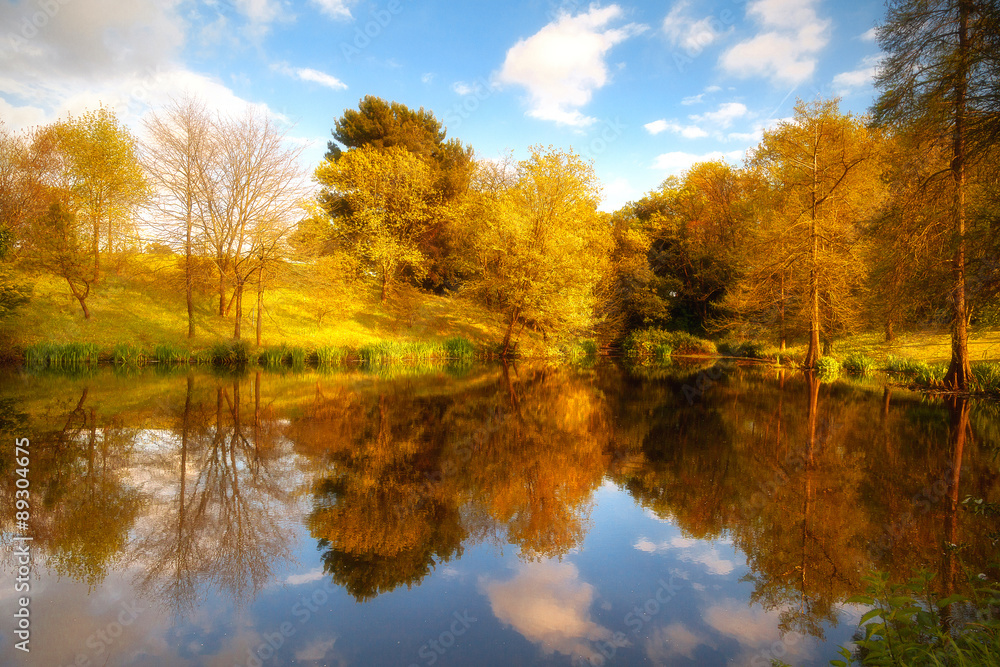 Natural landscape with autumn trees reflected on the surface of a lake.