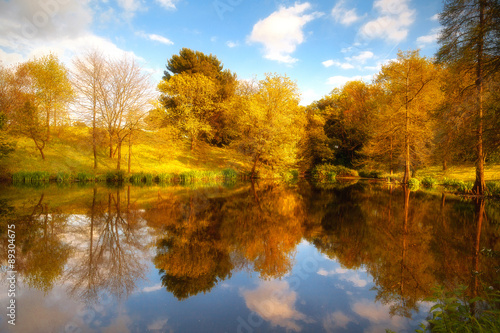 Natural landscape with autumn trees reflected on the surface of a lake.
