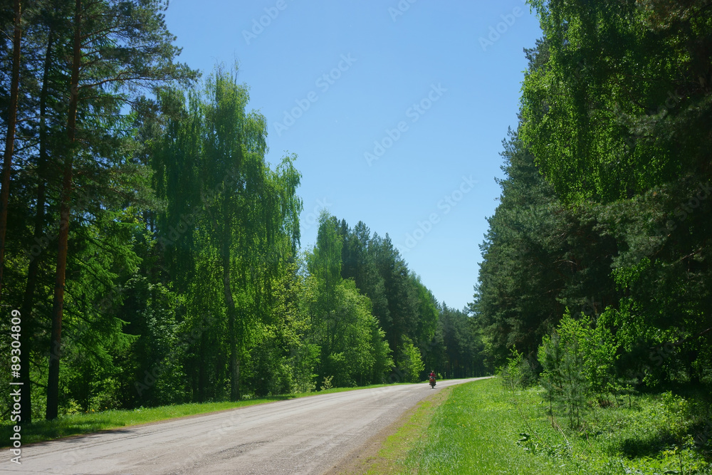 landscape, road,  bike,  sky,  field, forest