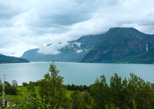 Summer mountain and fjord (Norway)