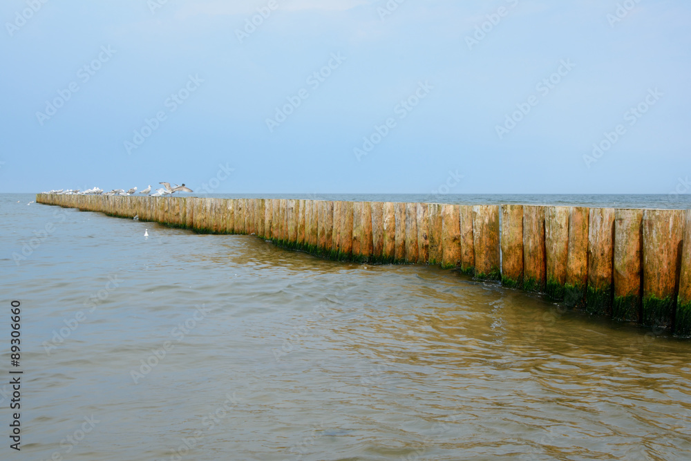 Wooden groyne and seagulls.