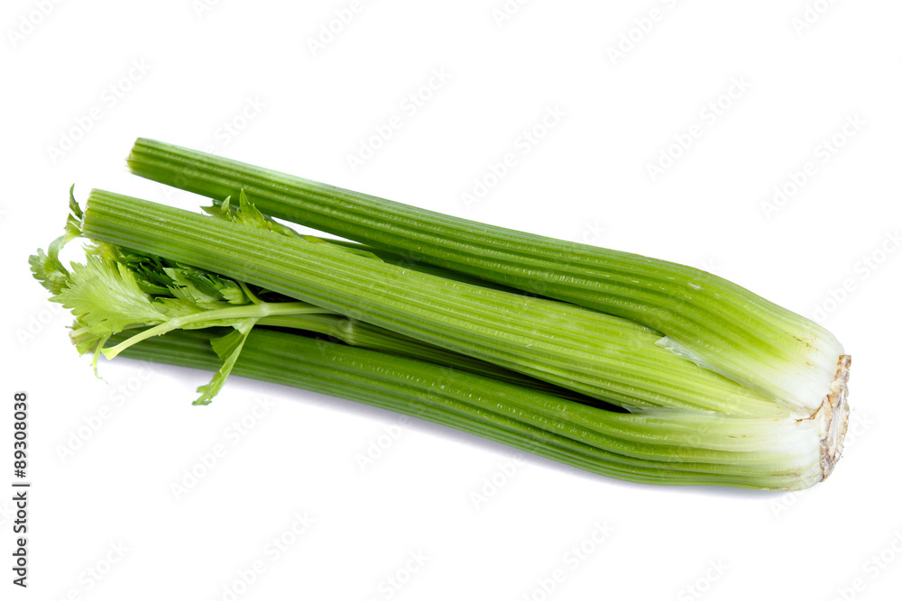 Celery isolated on white background Celery isolated on white background