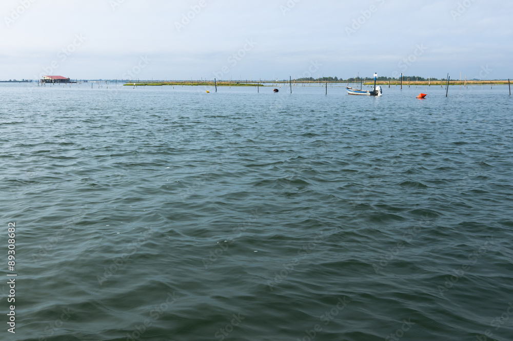 Landscape of the Po river estuary lagoon