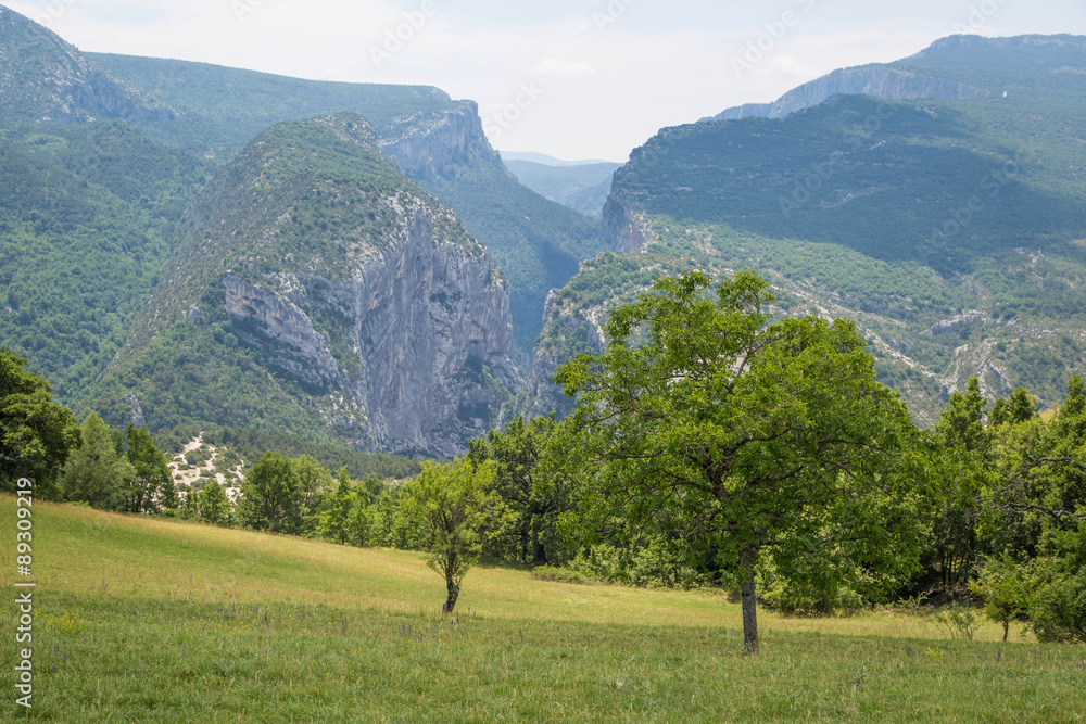 Sanfte Wiesen in der Provence