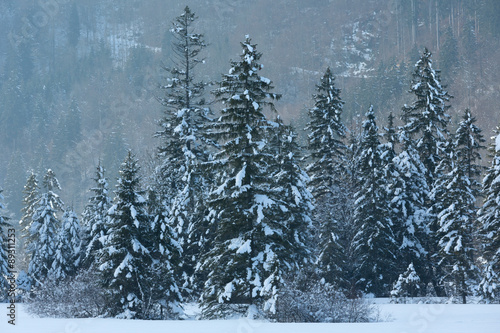 Winter mountain landscape © wildman