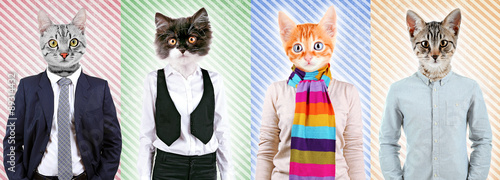 Series of people with anima...