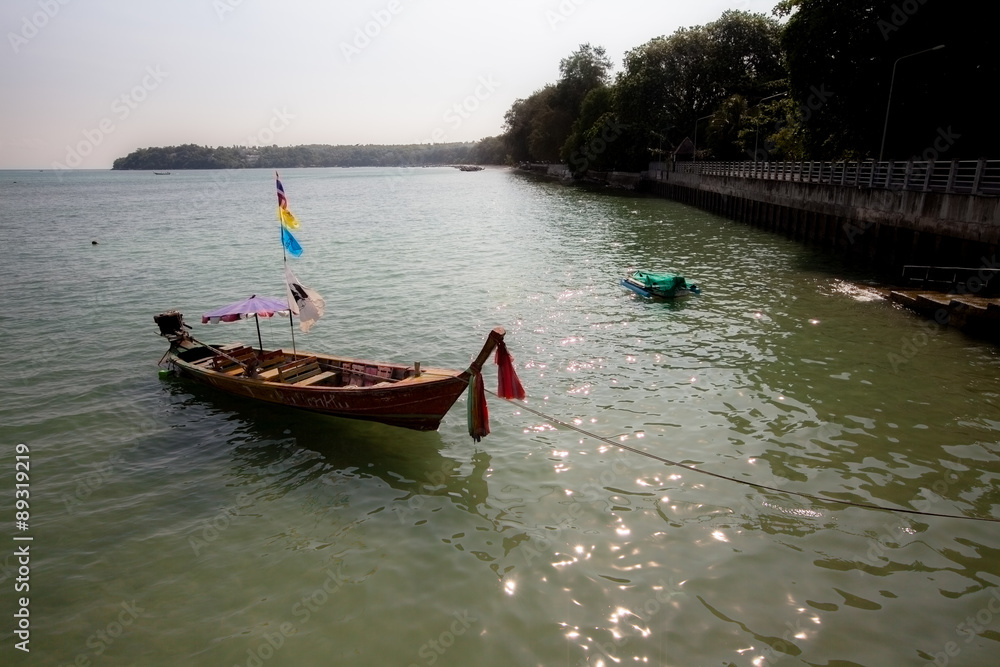 Obraz premium Thailand - July 30, 2015 : A traditional cormorant Traditional t