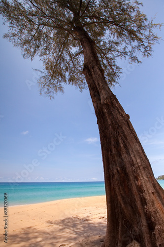 Fototapeta Naklejka Na Ścianę i Meble -  View of nice tropical beach.