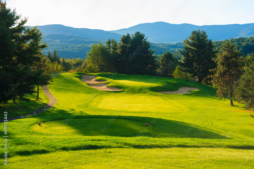 Naklejka premium Golf tee shot.