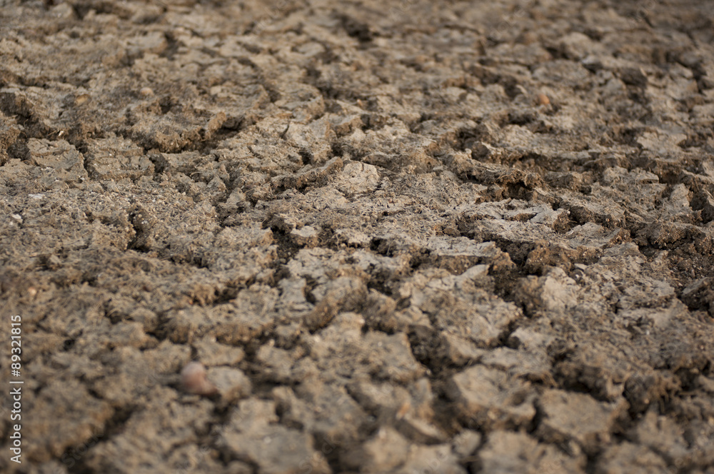 Cracked dry soil