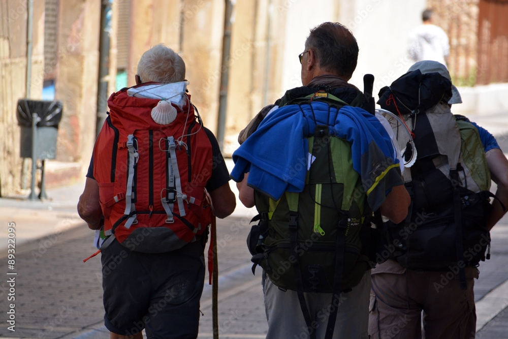 peregrinos durante el Camino de Santiago peregrinos durante el Camino de Santiago