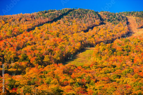 Fall foliage on Mt. Mansfield ski trails.