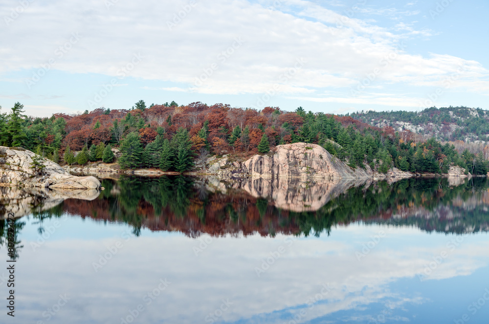 Fototapeta premium Forest lake