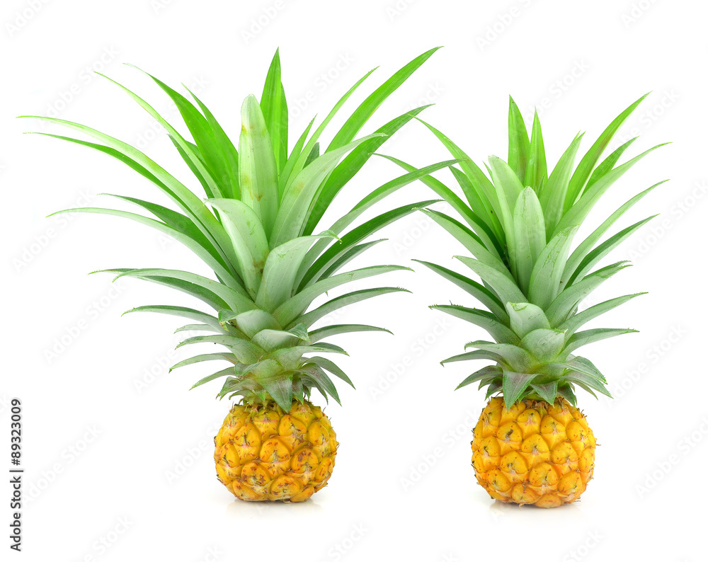 Pineapple isolated on white background Pineapple isolated on white background