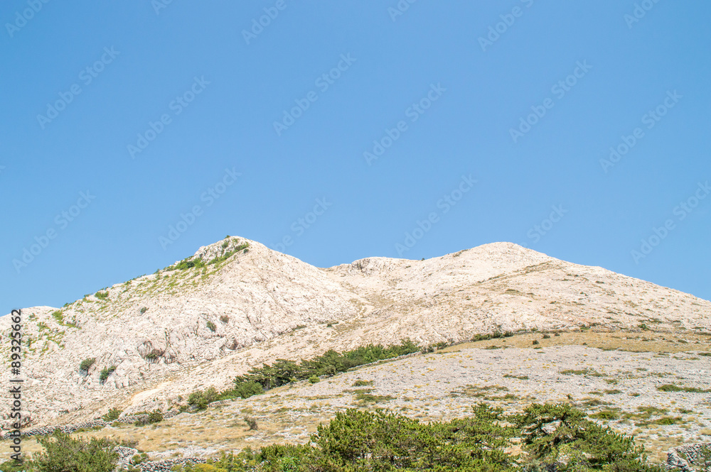 Rocky mountain hill with trees and bushes in abright summer day Rocky mountain hill with trees and bushes in abright summer day