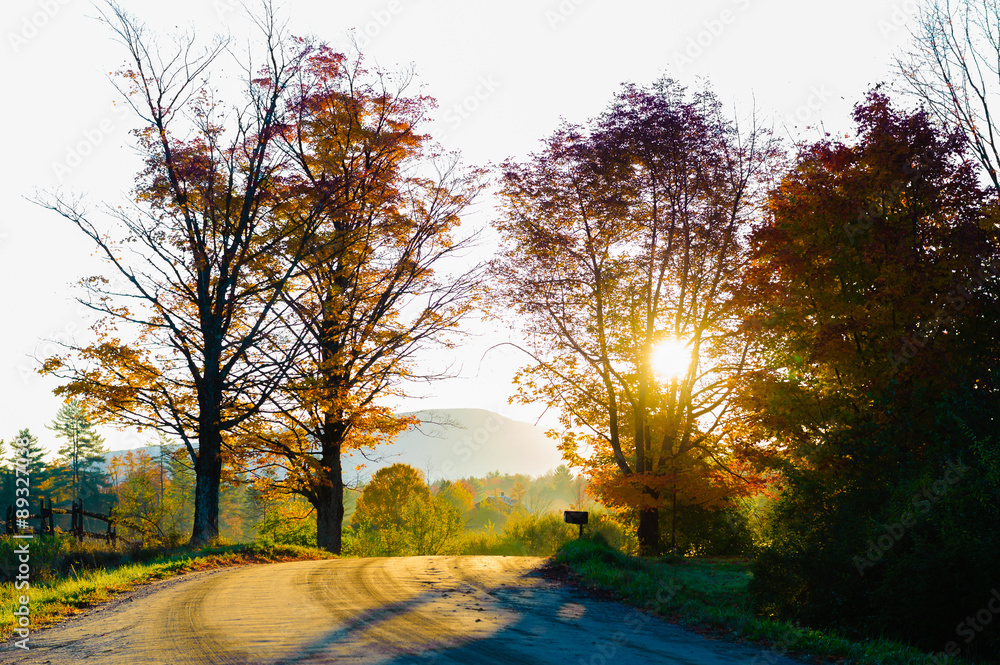 Sun shining through trees over a gravel road on a sunny fall fol