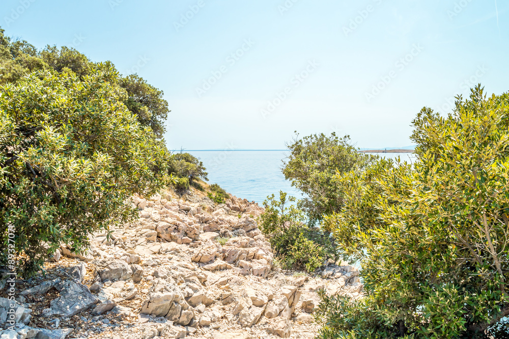 Rocky coastline with bushes and olive trees by the Adriatic sea