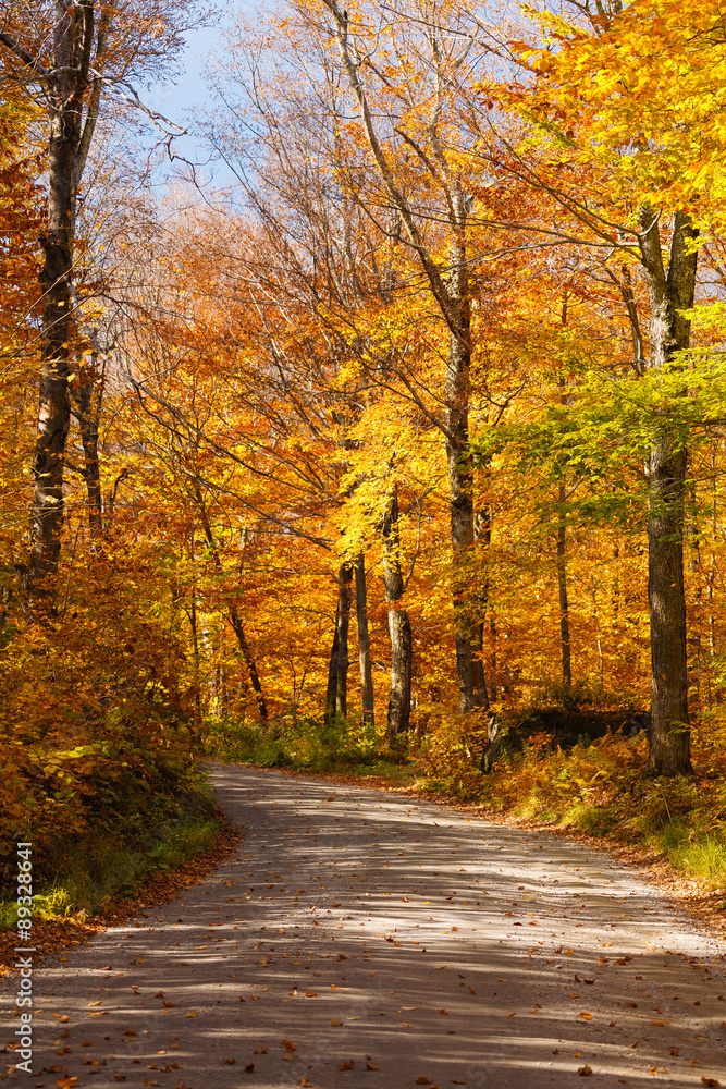 Fototapeta premium Droga płatna na Mt. Mansfield jesienią.