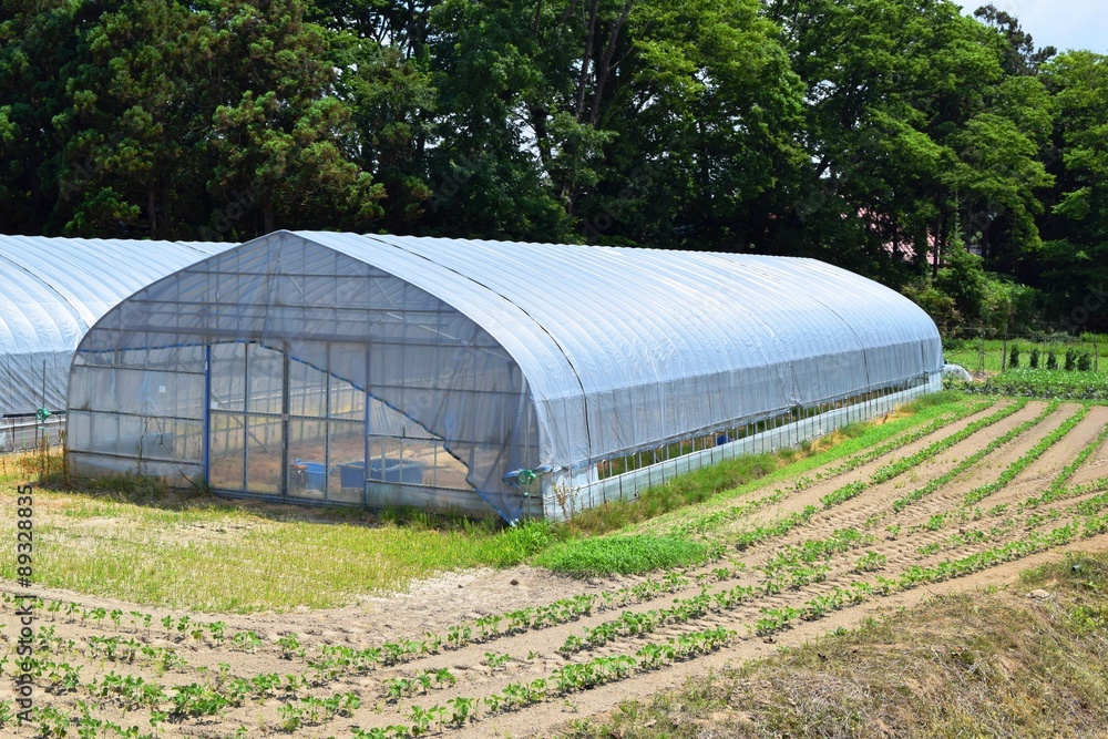 農業用ビニールハウス／山形県の庄内地方で、色々な農業用ビニールハウスの風景を撮影した写真です。
