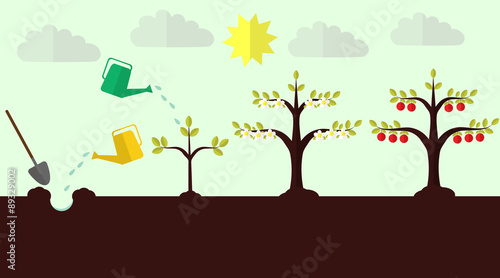 Planting apple trees flat vector