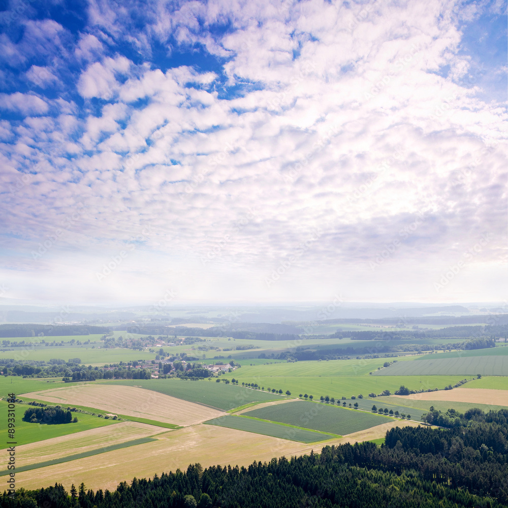 Obraz premium rural landscape background with plant fields