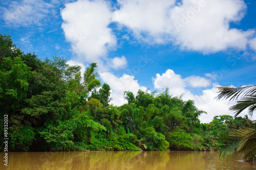 River in tropical rain forest